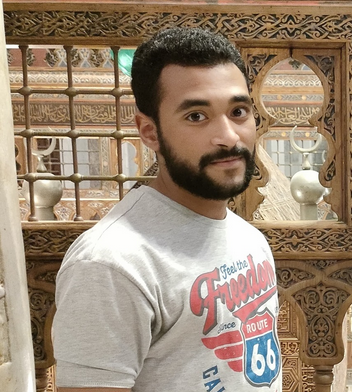 صورة المؤلف أحمد محمد حسن